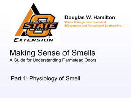 Part 1 The Physiology of Smell