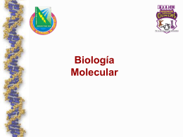 Diapositiva 1 - Facultad de Ciencias Químicas Facultad de Ciencias
