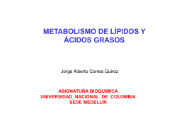 Metabolismo de Lípidos y Ácidos Grasos Archivo