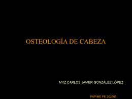 OSTEOLOGIA DE CABEZA