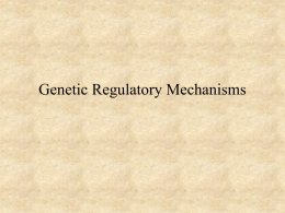 PowerPoint Presentation - Inducible Genes