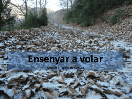 Ensenyar a volar