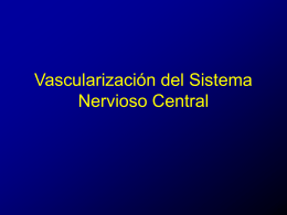 Vascularización del Sistema Nervioso Central