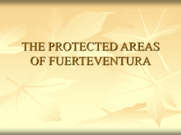 THE PROTECTED AREAS OF FUERTEVENTURA