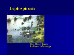 Leptospirosis HISTORIA