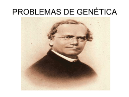 problemas de genética