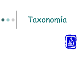 taxonomía