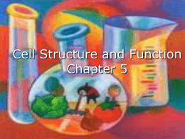 UPCO: Chapter 5- Cell Structure and Function