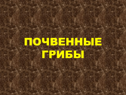 Почвенные грибы презентация PowePoint