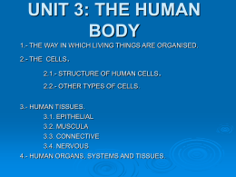 unit 3: the human body