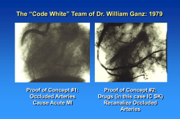 open artery hypothesis
