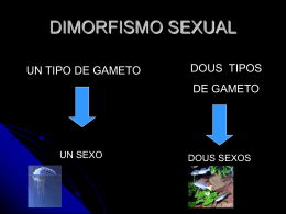 02-dimorfismo-sexual-e-fecundacion